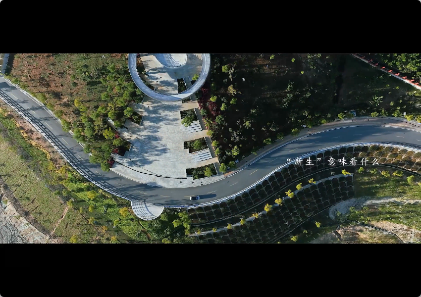 《临在当下，职通未来》